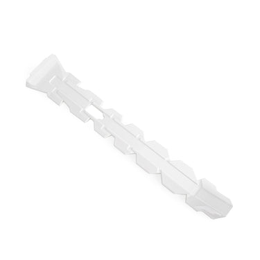 Backbone Frame for Daytona